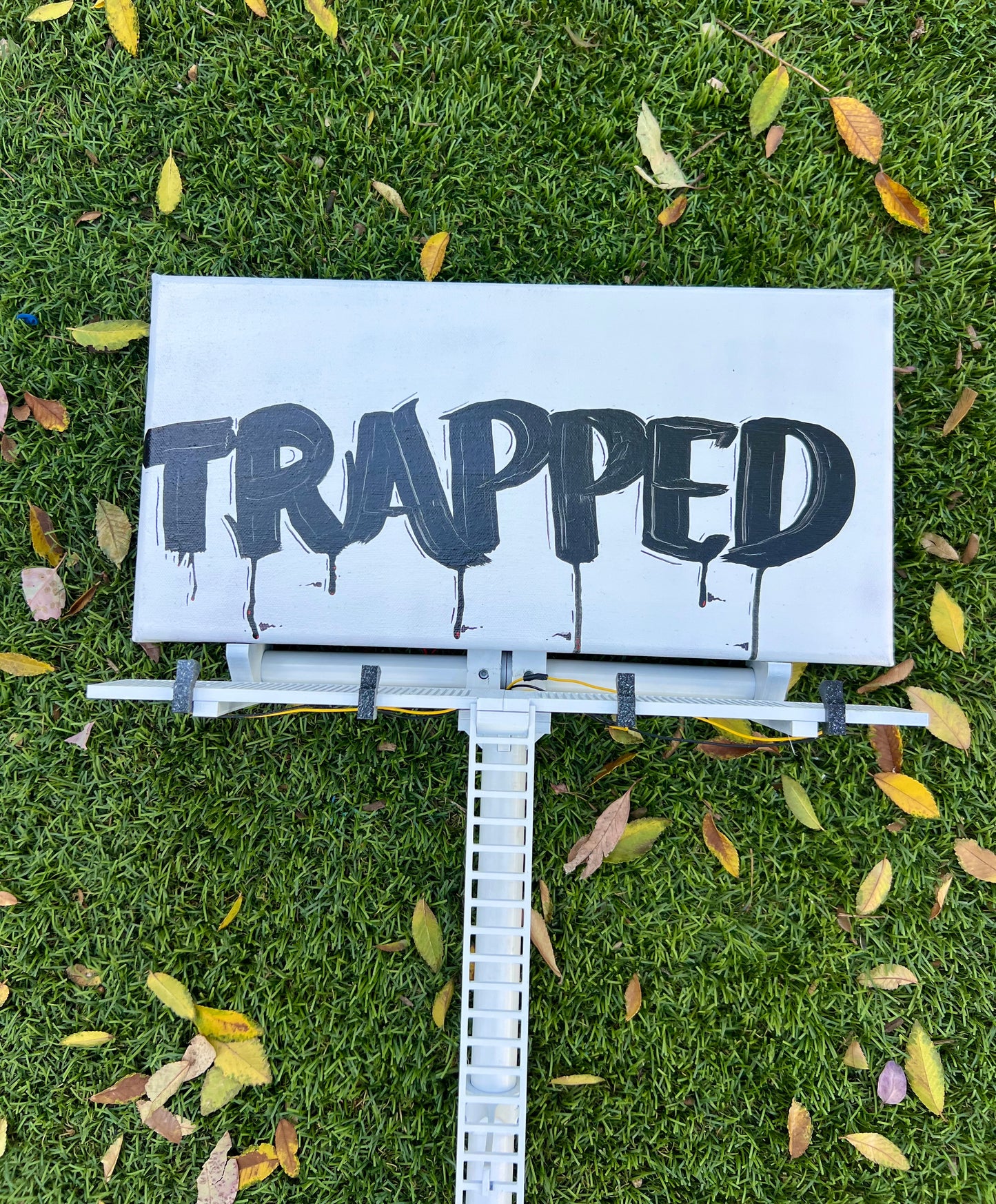 Amaroids (Trapped) Art Canvas Billboard 26.5"  Hand Painted With Lights